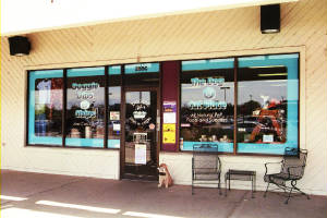 Painted Window Storefront and Logo