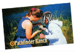 Quality 14 pt Jumbo Postcards